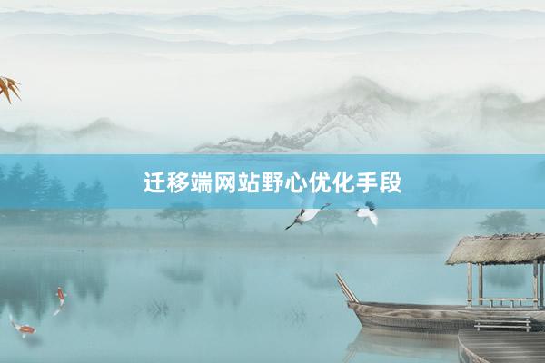 迁移端网站野心优化手段